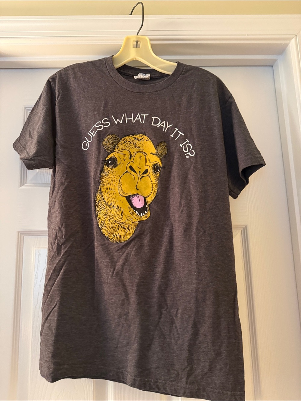 Humpday Graphic Tee - Dark Gray "Guess What Day It Is?"